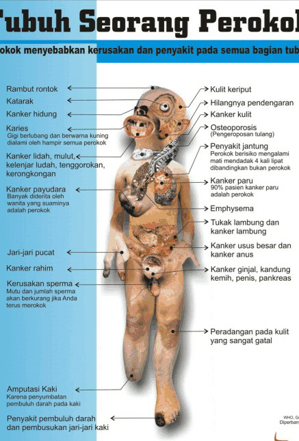 perbedaan narkoba dan rokok, masuk gan..