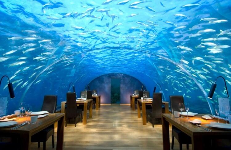 Restoran Keren dan Unik Yang Wajib Kamu Lihat dan Kunjungi