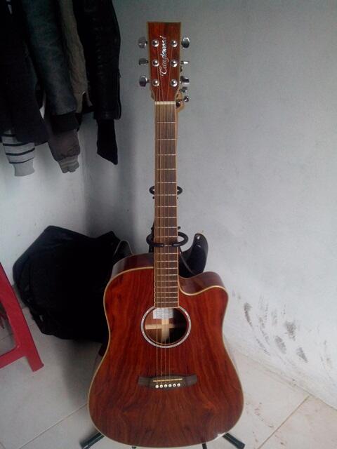 Terjual Gitar Akustik Elektrik Tanglewood Exotic Bubinga 