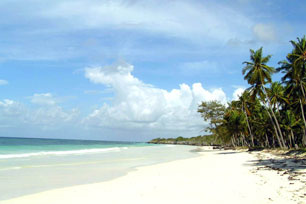 tipe tipe pengunjung pantai