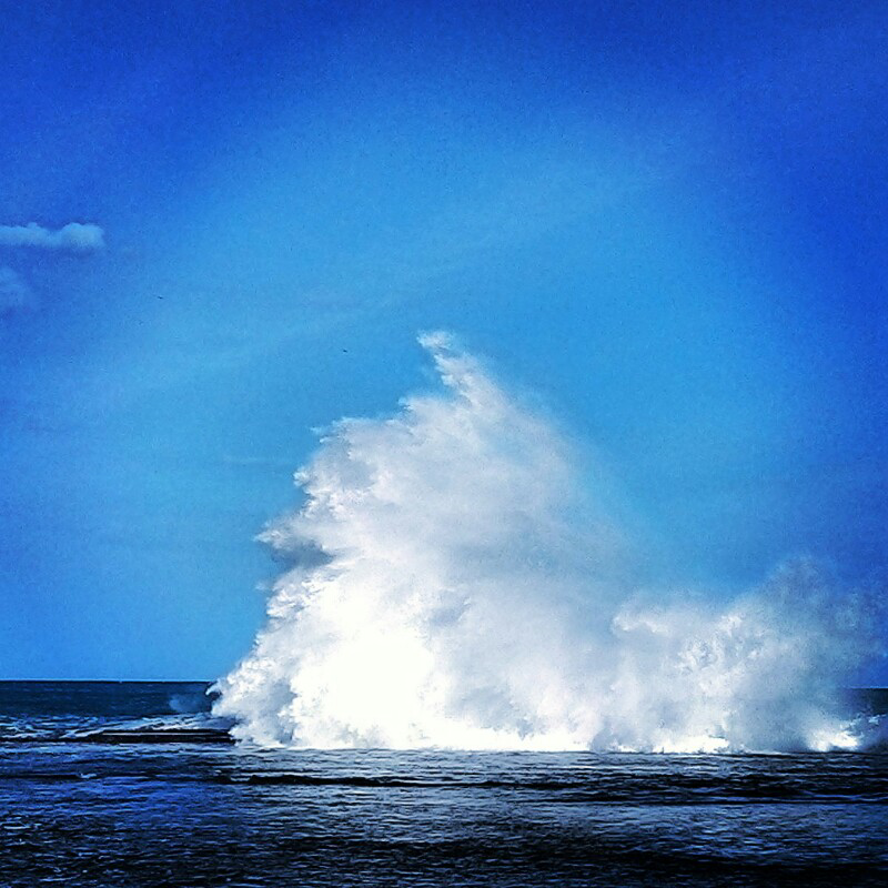 tipe tipe pengunjung pantai
