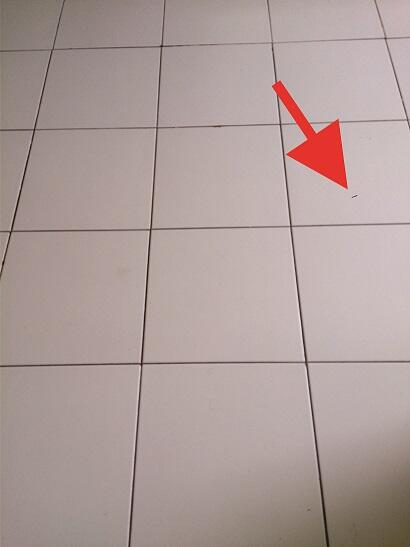 Xperia Z Lte, mulus, 2 bulan pake