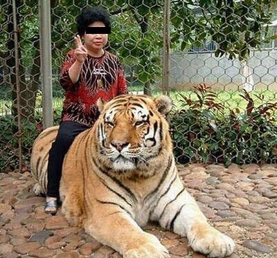 4 Pekerjaan Freelance Paling Membahayakan