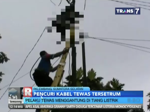 Foto: Apes! Pencuri kabel listrik tewas menggantung di tiang listrik