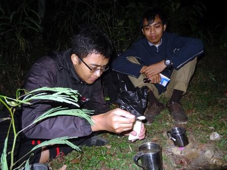 Ultralight Hiking (UH), Mendaki Gunung dengan Beban Super Ringan namun Tetap Aman