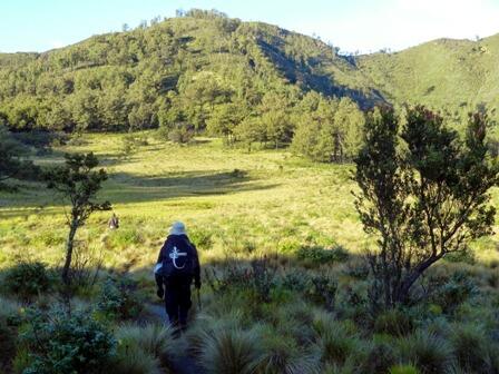 Ultralight Hiking (UH), Mendaki Gunung dengan Beban Super Ringan namun Tetap Aman