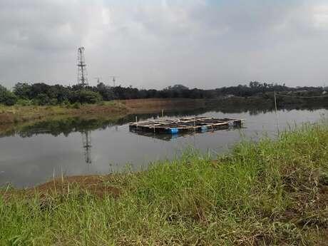 Waduk 'Made In' Jokowi (saat jadi Gubernur) di Cilangkap Mangkrak 6 Bulan