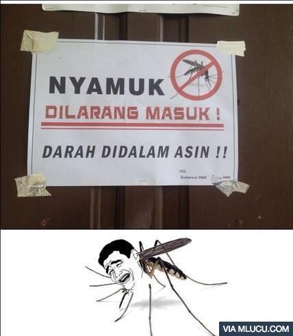 8 Cara Mudah Mencegah Demam Berdarah