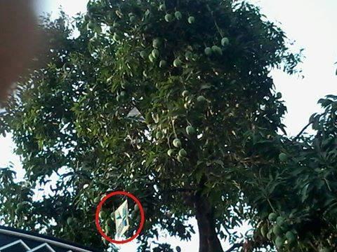 Subhanallah inikah bertanda akhir jaman