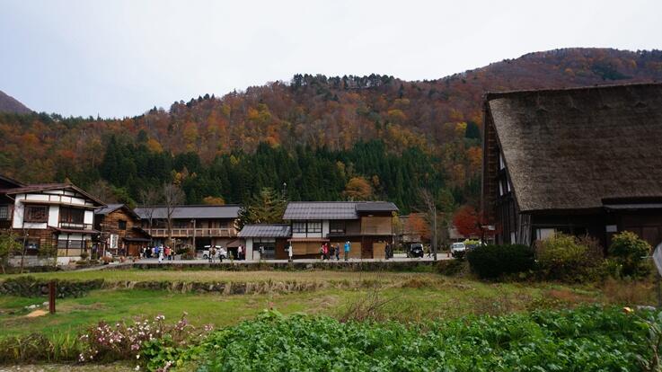 Menikmati Jejak Masa Lampau di Desa Tradisional Shirakawago