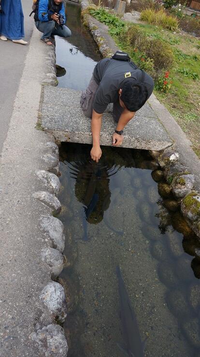 Menikmati Jejak Masa Lampau di Desa Tradisional Shirakawago