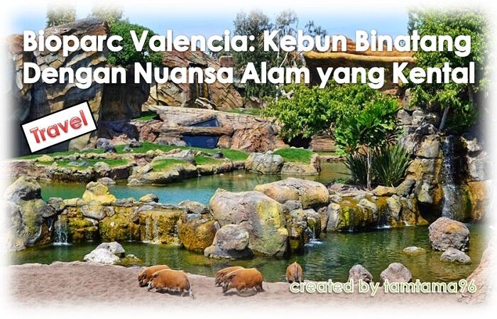 Bioparc Valencia: Kebun Binatang Dengan Nuansa Alam yang Kental