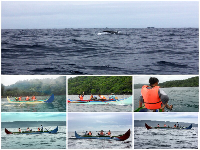 Teluk kiluan