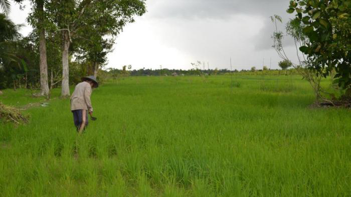Hadapi Pasar Bebas, Daya Saing Desa akan Ditingkatkan