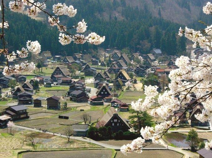 Menikmati Jejak Masa Lampau di Desa Tradisional Shirakawago