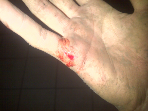 KETANGKEP BPK STAPOL TPI GG DI TILANG !!!