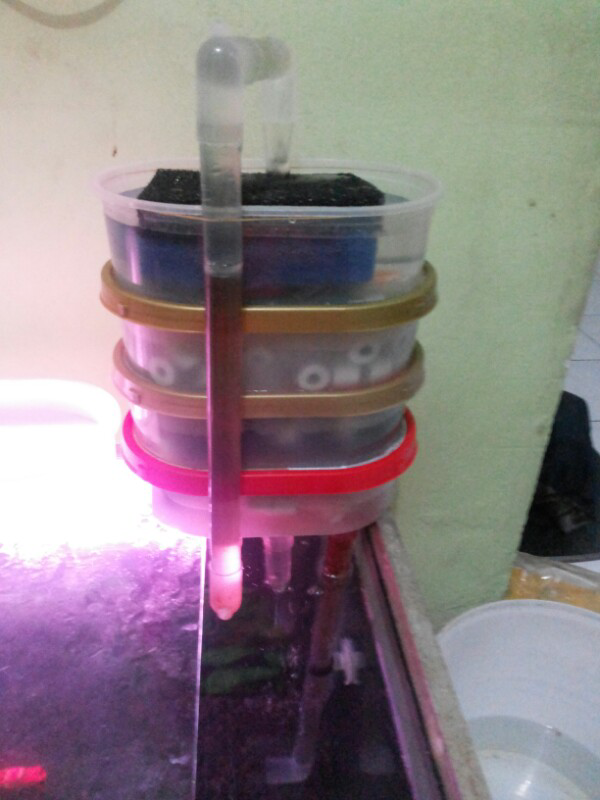 Membuat Filter Sendiri Dari Wadah Bekas Es Krim