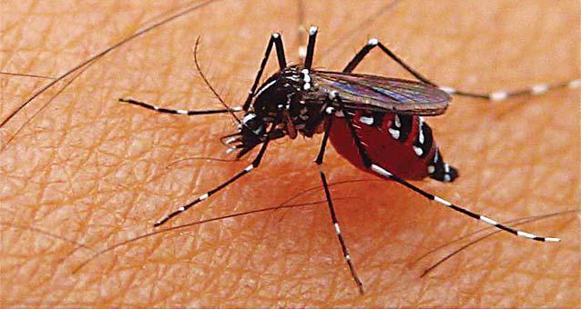 Waspada Terus Buat Penyakit Yang Satu Ini..!!
