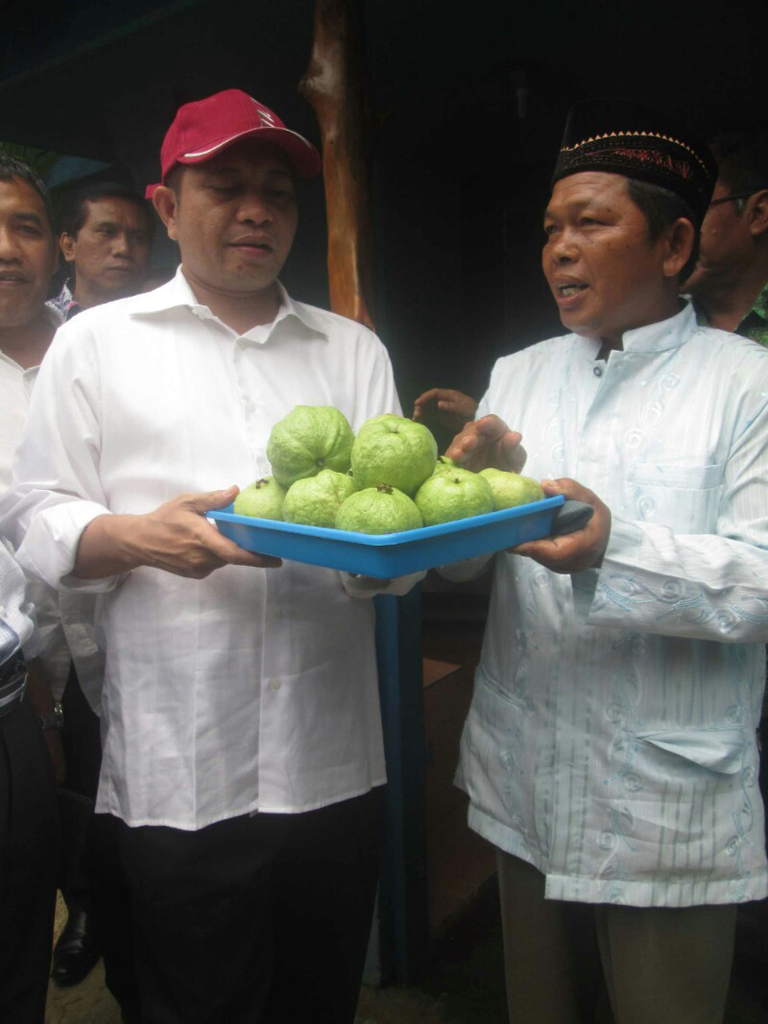 Heboh apel berbakteri, Menteri Desa ingin buah lokal mendunia