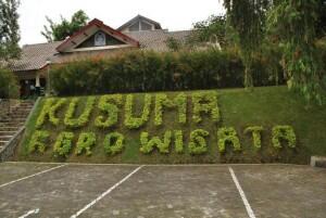 Pengaruh Apel yang Mendunia