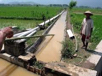 Tentang Lumbung Pangan BELITANG