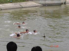 Tentang Lumbung Pangan BELITANG