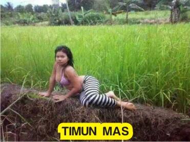 10 Sayuran paling LEGEND di Indonesia