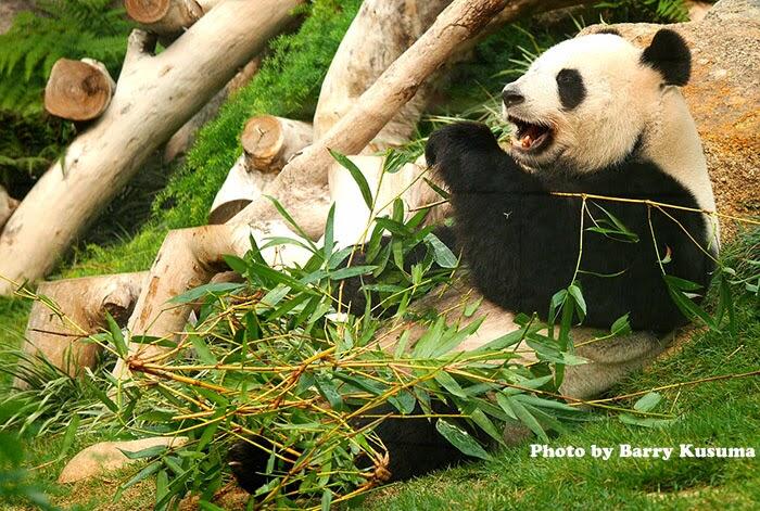 7 Tempat Wisata wajib dikunjungi di Makau China.