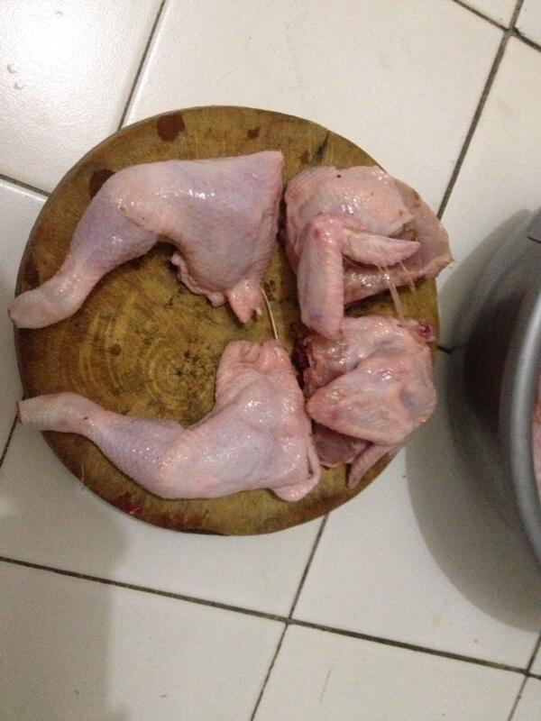 PELUANG BISNIS•••Jual ayam lgs dr kandang•••