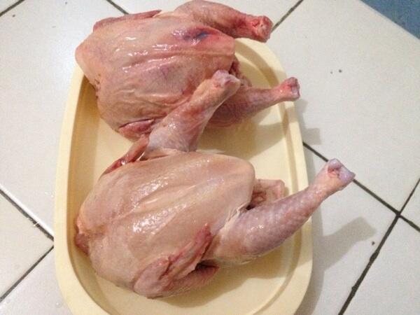 PELUANG BISNIS•••Jual ayam lgs dr kandang•••