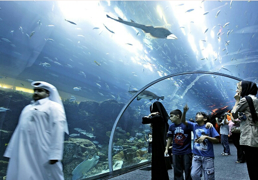 &#91;AMAZING&#93; Mengintip Dubai Mall, Mall Terbersar Di Planet Bumi. &#91;KEREN&#93;