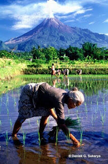 Tempat Wisata Teromantis di Indonesia