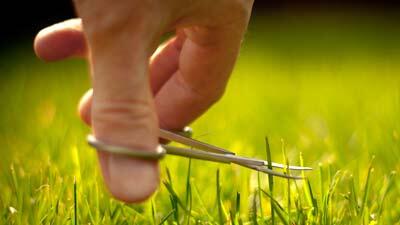 Mitos Paling Umum dalam Dunia Desain