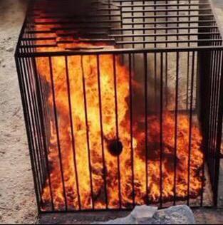 Iraq vs ISIS