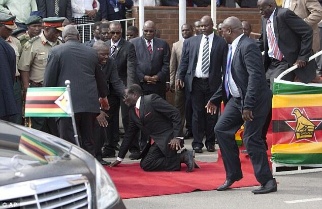 Presiden Zimbabwe lagi jatuh lagi nge-tren, ada foto lagi dikejar Kuda NIL