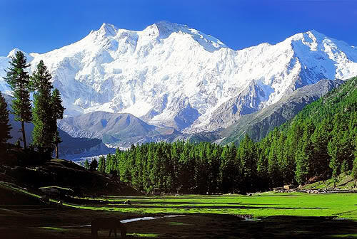 &#91;FR&#93; Winter in Kashmir -- Backpackeran bersama keluarga kecil di wilayah konflik