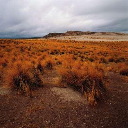 &#91;Beautiful Landscape&#93; Galeri Gurun Pasir Paling Indah Di Dunia
