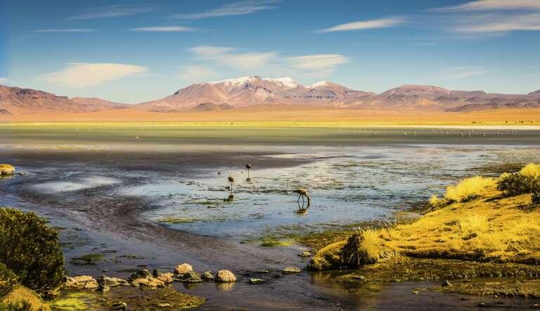 &#91;Beautiful Landscape&#93; Galeri Gurun Pasir Paling Indah Di Dunia