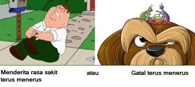 Agan Pasti Bingung Mau Pilih Yang mana