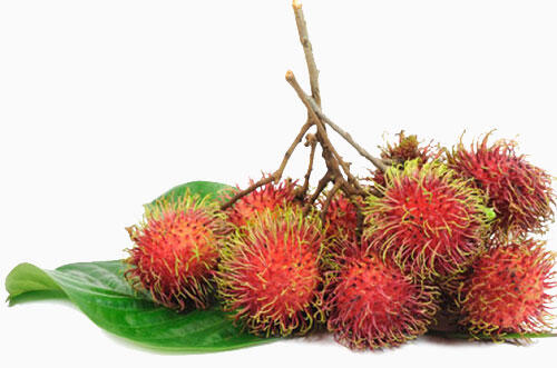 Lagi Musim Rabutan Gan, Mengenal Buah Rambutan Yuk!