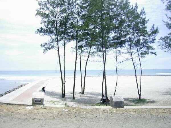 7 Km Keindahan Pantai Panjang di Bengkulu