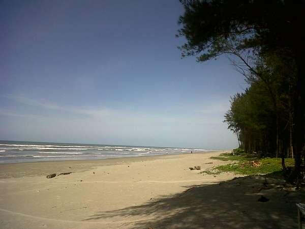 7 Km Keindahan Pantai Panjang di Bengkulu