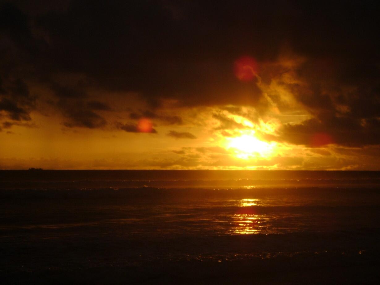 7 Km Keindahan Pantai Panjang di Bengkulu