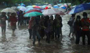 7 Dampak Akibat Banjir Melanda;