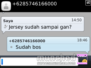 Sepatu Running/Olahraga/Jogging Import Vietnam NIKE, ADIDAS, & SALOMON