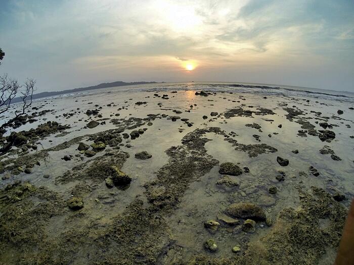 PEUCANG DAN PANAITAN UJUNGKULON CAMPING 29 - 31 MEI CUMA 475 RIBU