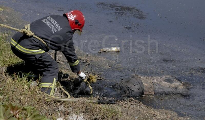 Drowned People - Many Pics