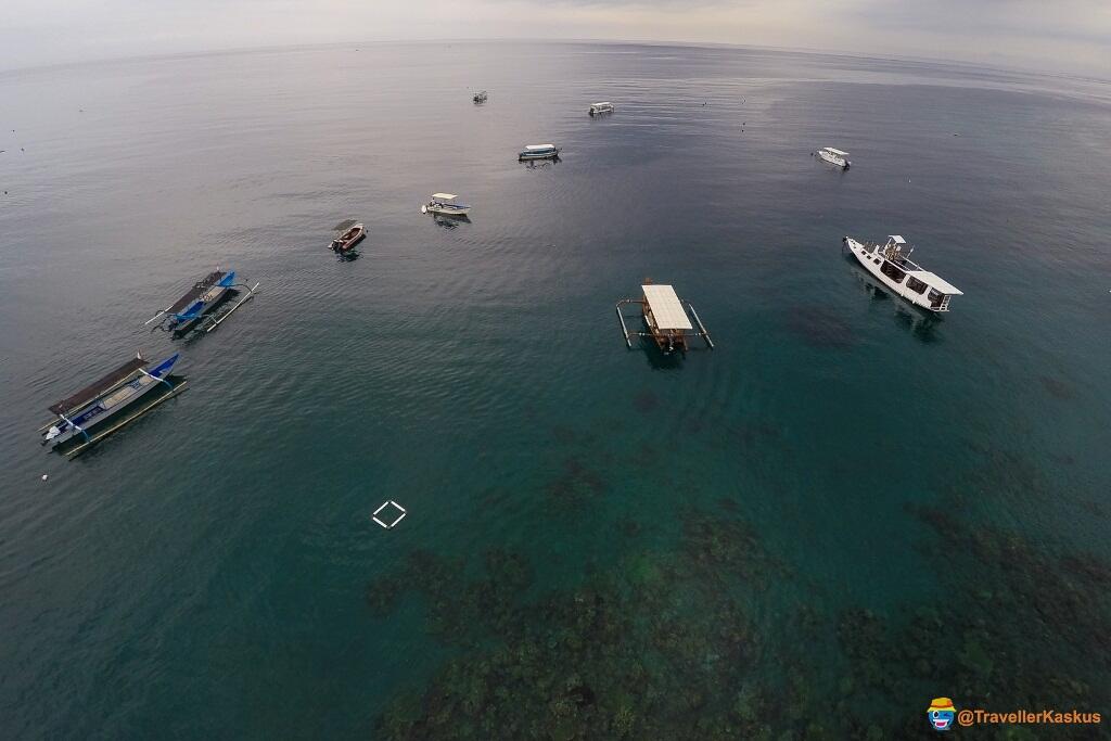 Muter-muter Desa Pemuteran, Gerokgak, Buleleng, Bali Barat