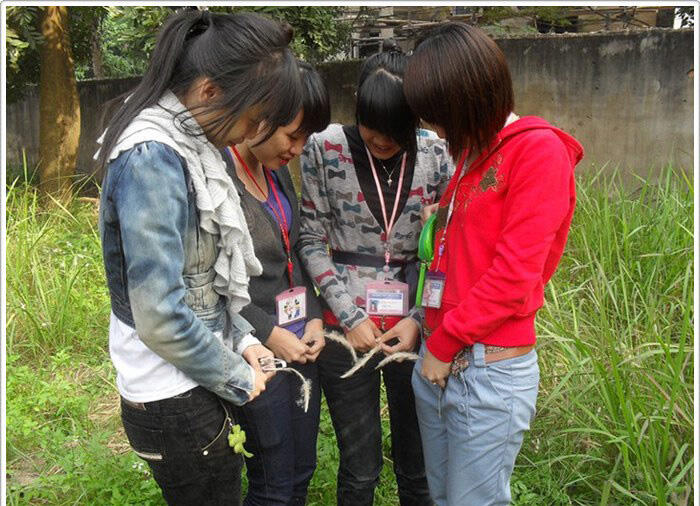 Gan ce2 ini harus diapain gan - gila tapi waras, waras tapi gila