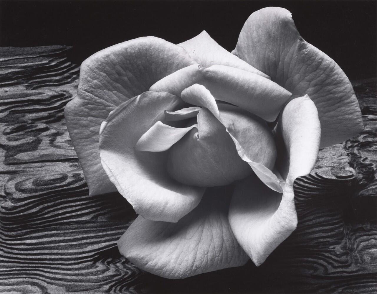 &#91;AMAZING&#93; Foto hitam putih sang Maestro Fotografi Ansel Adams yang menyejukkan Jiwa